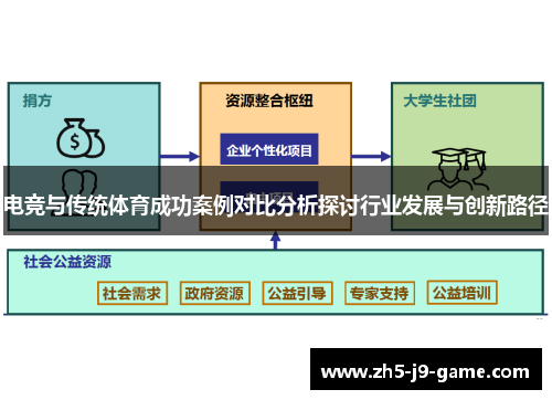电竞与传统体育成功案例对比分析探讨行业发展与创新路径