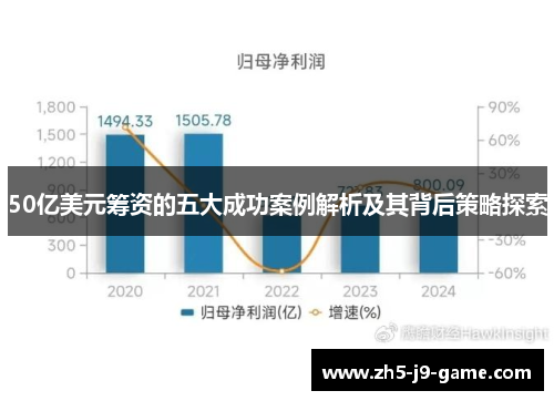 50亿美元筹资的五大成功案例解析及其背后策略探索