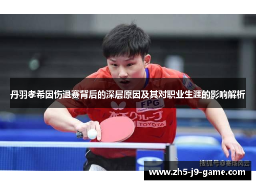 丹羽孝希因伤退赛背后的深层原因及其对职业生涯的影响解析