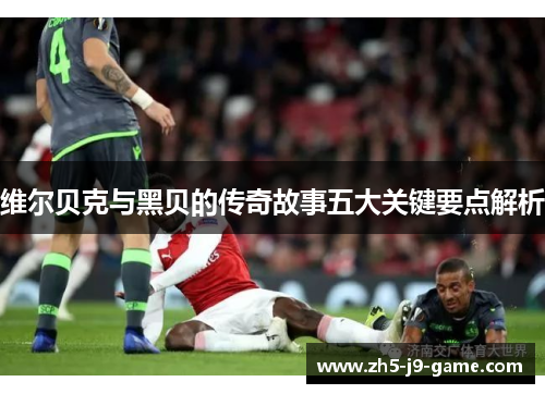 维尔贝克与黑贝的传奇故事五大关键要点解析 维尔贝克与黑贝的传奇故事五大关键要点解析