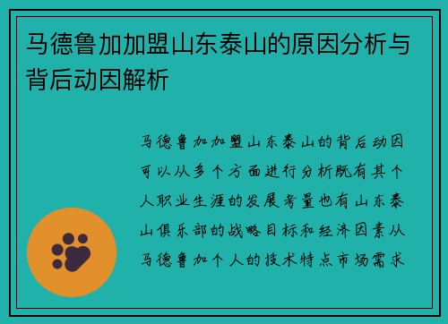 马德鲁加加盟山东泰山的原因分析与背后动因解析
