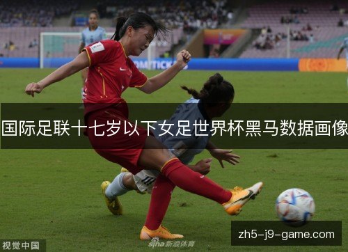 国际足联十七岁以下女足世界杯黑马数据画像